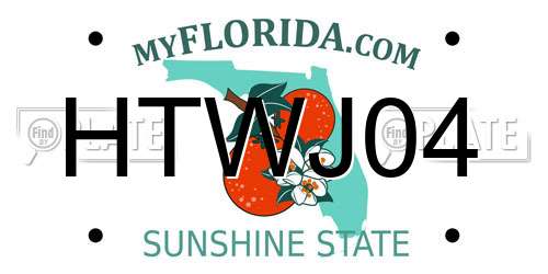 HTWJ04 Florida License Plate
