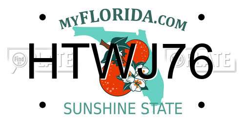 HTWJ76 Florida License Plate