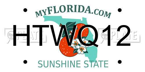 HTWQ12 Florida License Plate