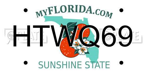 HTWQ69 Florida License Plate