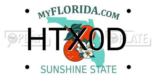 HTX0D Florida License Plate