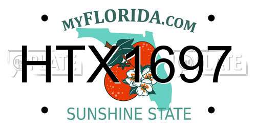 HTX1697 Florida License Plate
