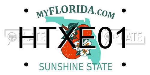 HTXE01 Florida License Plate