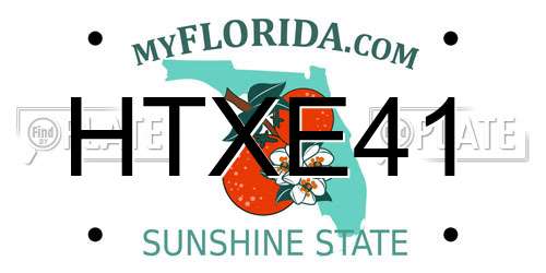 HTXE41 Florida License Plate