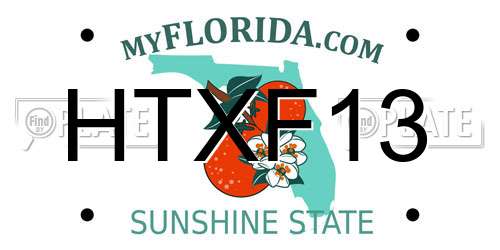 HTXF13 Florida License Plate