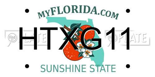 HTXG11 Florida License Plate