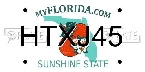 HTXJ45 Florida License Plate