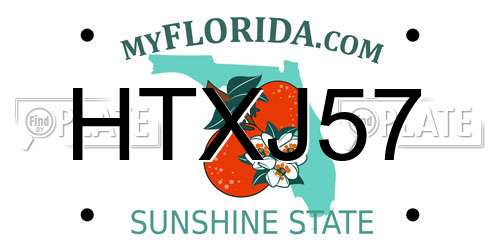 HTXJ57 Florida License Plate