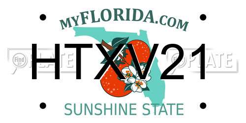 HTXV21 Florida License Plate