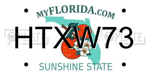HTXW73 Florida License Plate