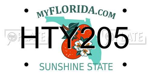HTY205 Florida License Plate