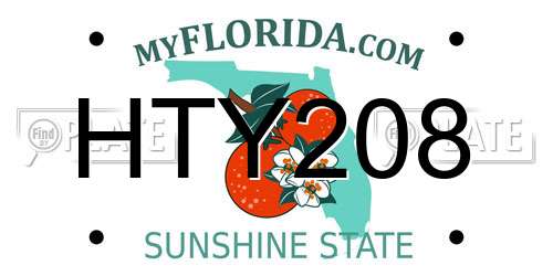 HTY208 Florida License Plate