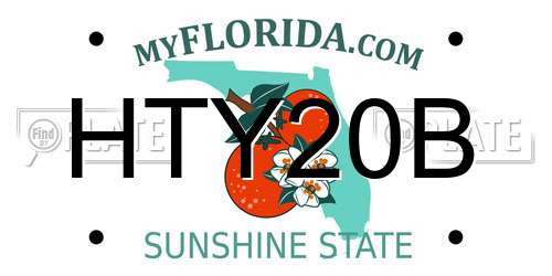 HTY20B Florida License Plate