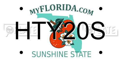 HTY20S Florida License Plate