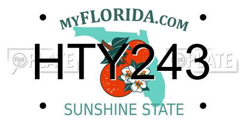 HTY243 Florida License Plate
