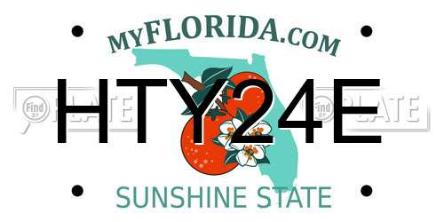 HTY24E Florida License Plate