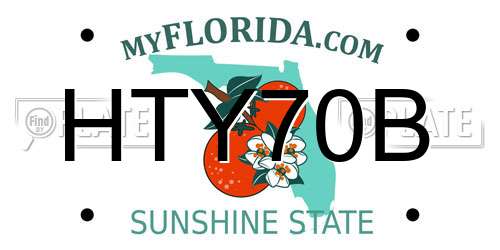 HTY70B Florida License Plate