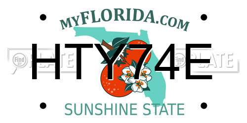 HTY74E Florida License Plate