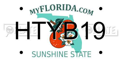 HTYB19 Florida License Plate