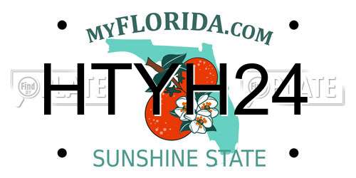 HTYH24 Florida License Plate