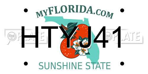 HTYJ41 Florida License Plate
