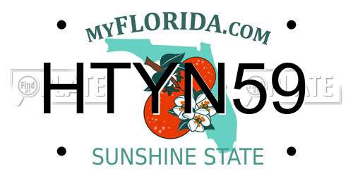 HTYN59 Florida License Plate