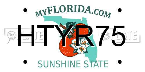HTYR75 Florida License Plate
