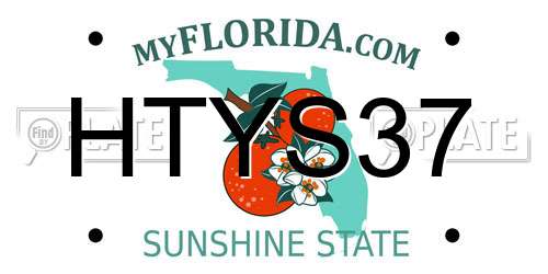 HTYS37 Florida License Plate