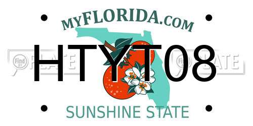 HTYT08 Florida License Plate