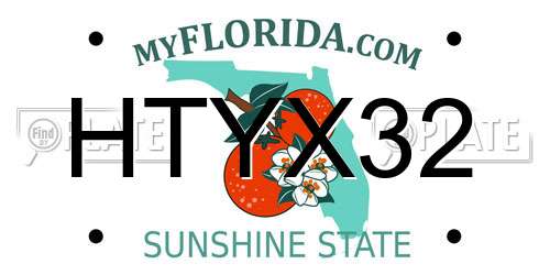 HTYX32 Florida License Plate