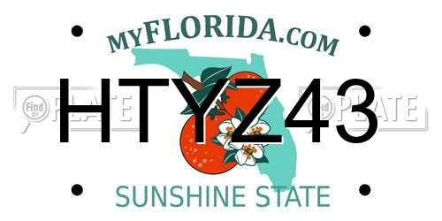 HTYZ43 Florida License Plate