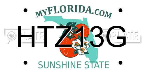HTZ13G Florida License Plate