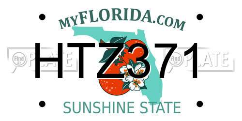 HTZ371 Florida License Plate