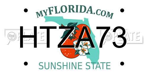 HTZA73 Florida License Plate