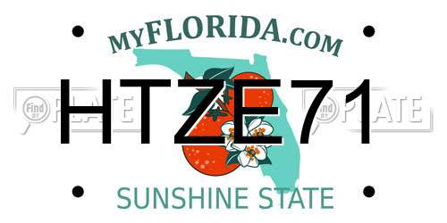 HTZE71 Florida License Plate
