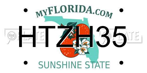 HTZH35 Florida License Plate