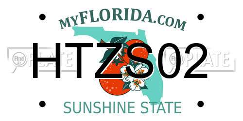 HTZS02 Florida License Plate