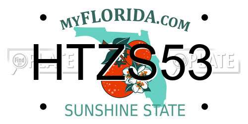 HTZS53 Florida License Plate