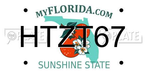 HTZT67 Florida License Plate