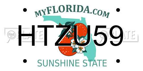 HTZU59 Florida License Plate