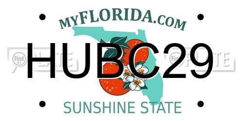 HUBC29 Florida License Plate