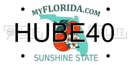 HUBE40 Florida License Plate