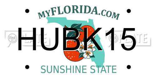 HUBK15 Florida License Plate