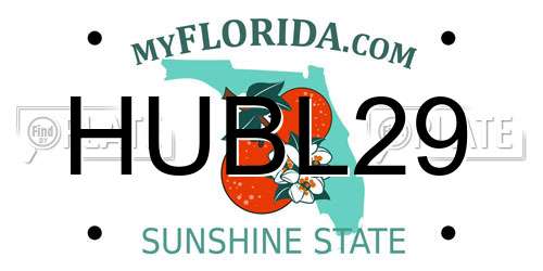HUBL29 Florida License Plate
