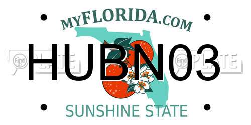 HUBN03 Florida License Plate