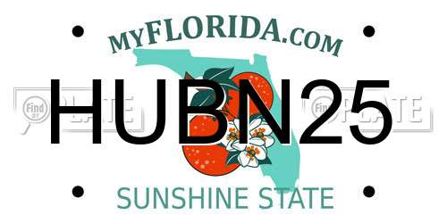 HUBN25 Florida License Plate