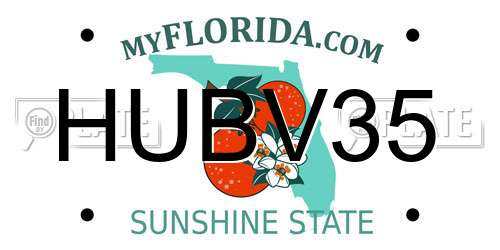 HUBV35 Florida License Plate