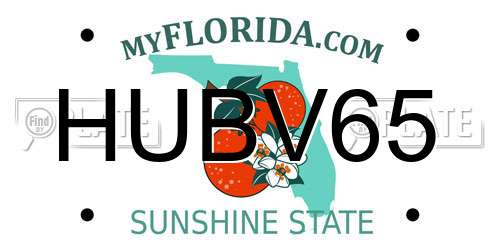 HUBV65 Florida License Plate