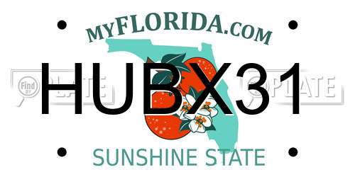 HUBX31 Florida License Plate