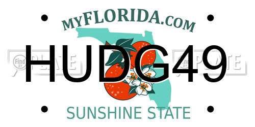 HUDG49 Florida License Plate